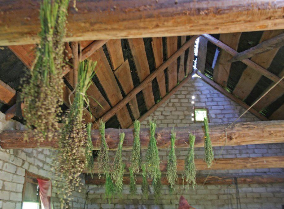 Grasses drying on the rafters.