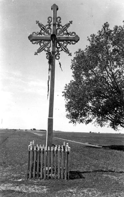 Wayside cross in Dubaklonis(Dzūkija)